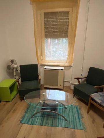 Downtown With Garden For 3 People Appartement